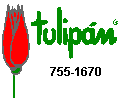 Tulip�n